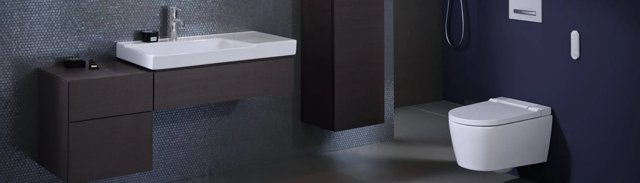 Dusch WC